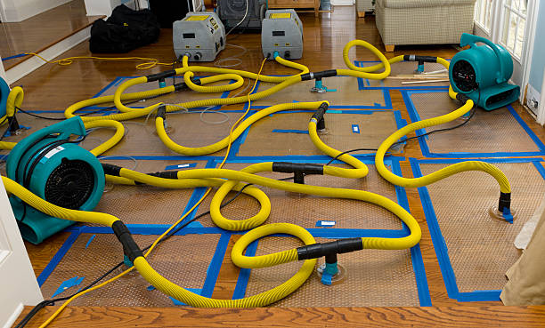 Professional Sewage Cleanup technician working in Adams, WI